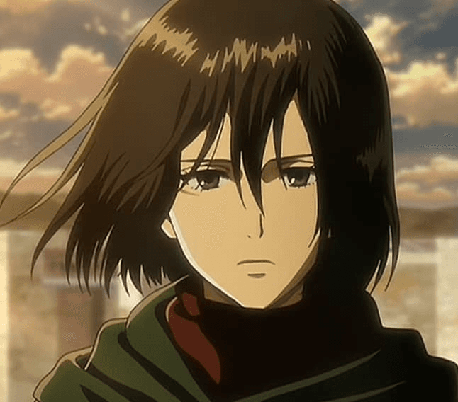 Mikasa