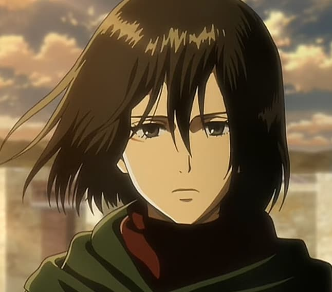 Mikasa